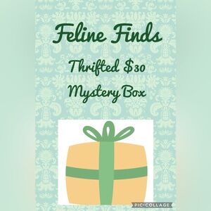 Mystery Thrifted Box 5 -7 items for $30